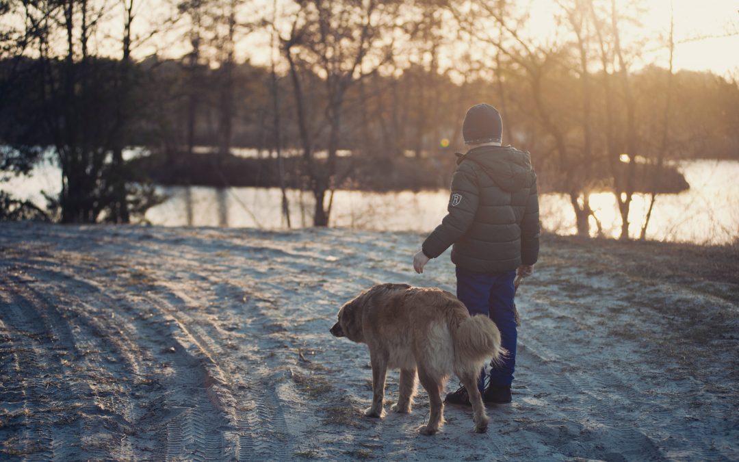 Vinteraktiviteter for dig og din søn